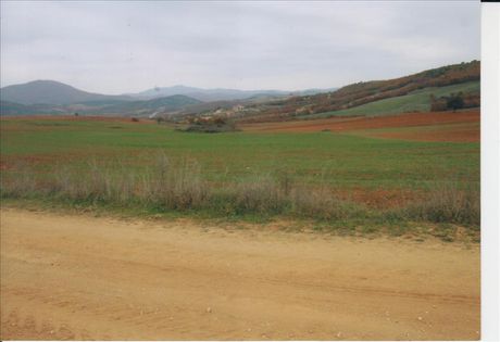 Land plot 20.000sqm for sale-Zervochoria » Geroplatanos