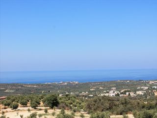 Οικόπεδο 4.200 τ.μ. για πώληση