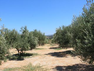 Οικόπεδο 4.200 τ.μ. για πώληση, Ν. Ρεθύμνου, Αρκάδι-thumb-2