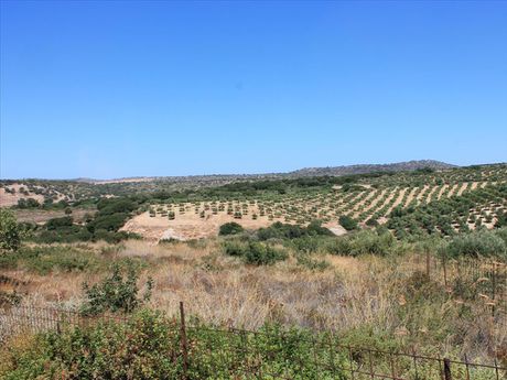 Land plot 6.800sqm for sale-Geropotamos » Lavris