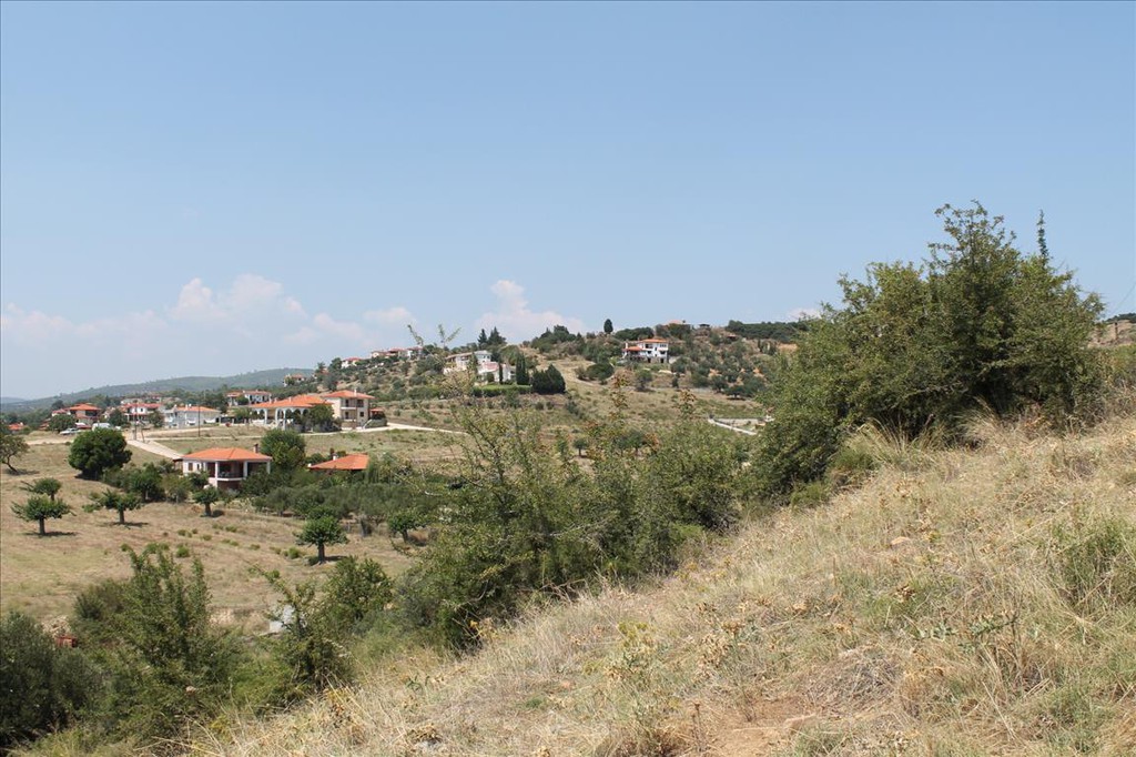 Οικόπεδο 8.000 τ.μ. προς πώληση, Άγιος Νικόλαος Σιθωνίας
