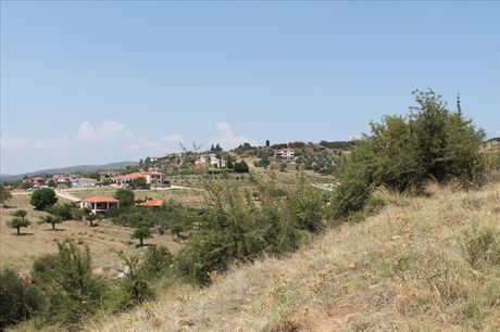Land plot 8.000sqm for sale-Sithonia » Agios Nikolaos