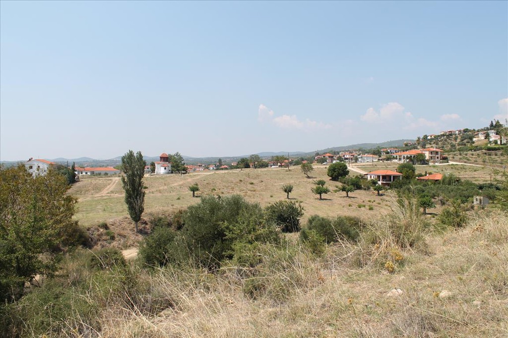Οικόπεδο 8.000 τ.μ. προς πώληση, Άγιος Νικόλαος Σιθωνίας