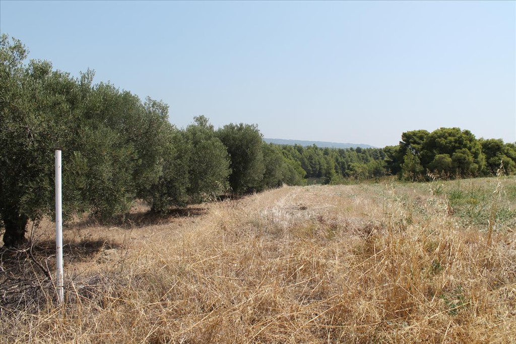 Οικόπεδο 6.915 τ.μ. προς πώληση, Μετόχι Ορμύλιας