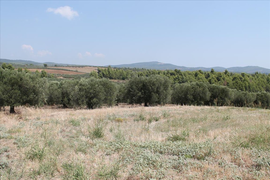 Οικόπεδο 6.915 τ.μ. προς πώληση, Μετόχι Ορμύλιας