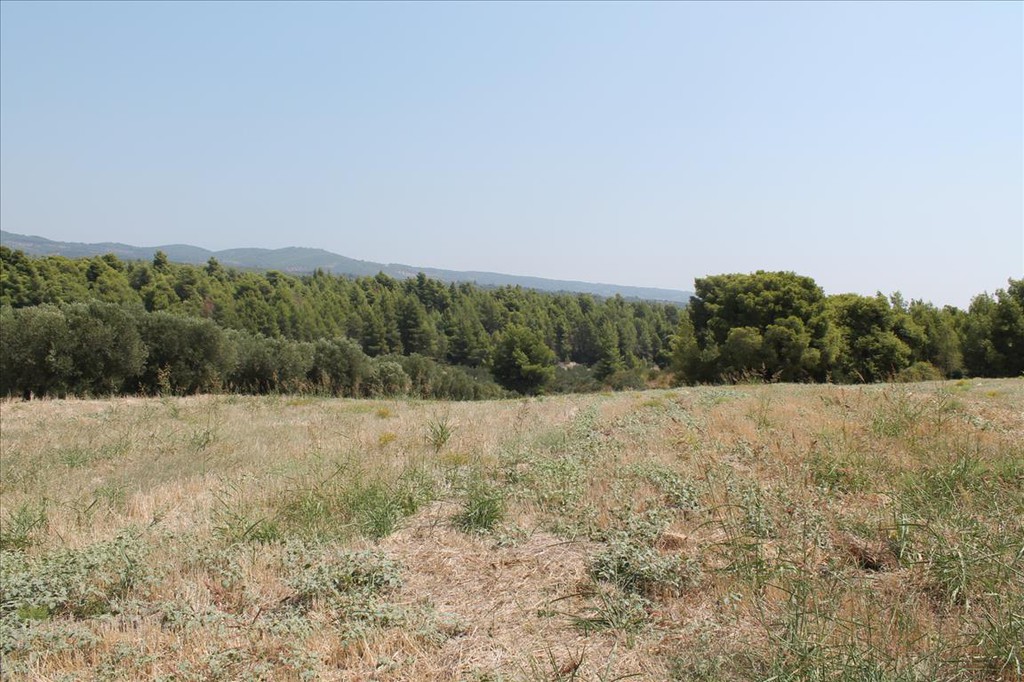 Οικόπεδο 6.915 τ.μ. προς πώληση, Μετόχι Ορμύλιας