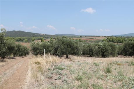 Land plot 6.915sqm for sale-Ormilia » Metochi