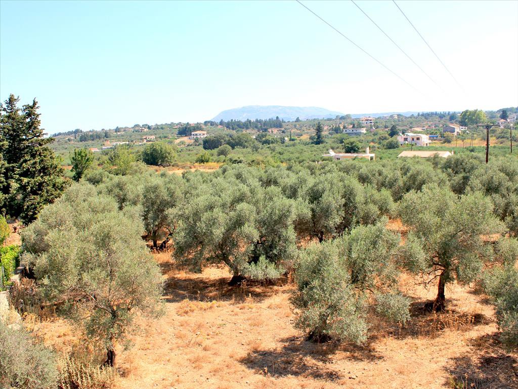 Οικόπεδο 8.243 τ.μ. προς πώληση, Καμπιά Βάμου