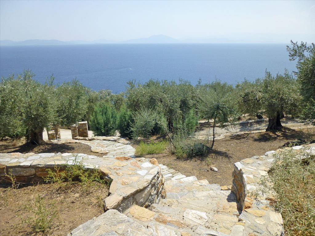 Βίλλα 270 τ.μ. πρός πώληση, Μαγνησία, Μηλιές