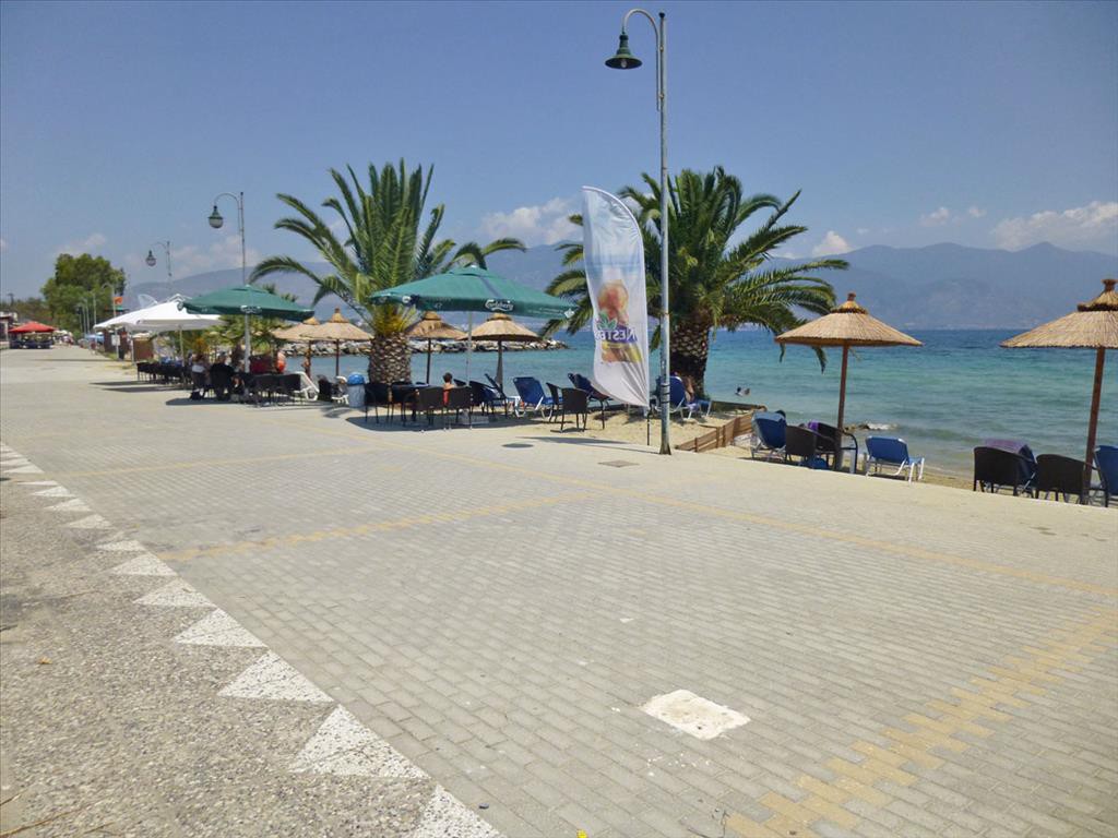 Οικόπεδο 1.243 τ.μ. πρός πώληση, Μαγνησία, Βόλος