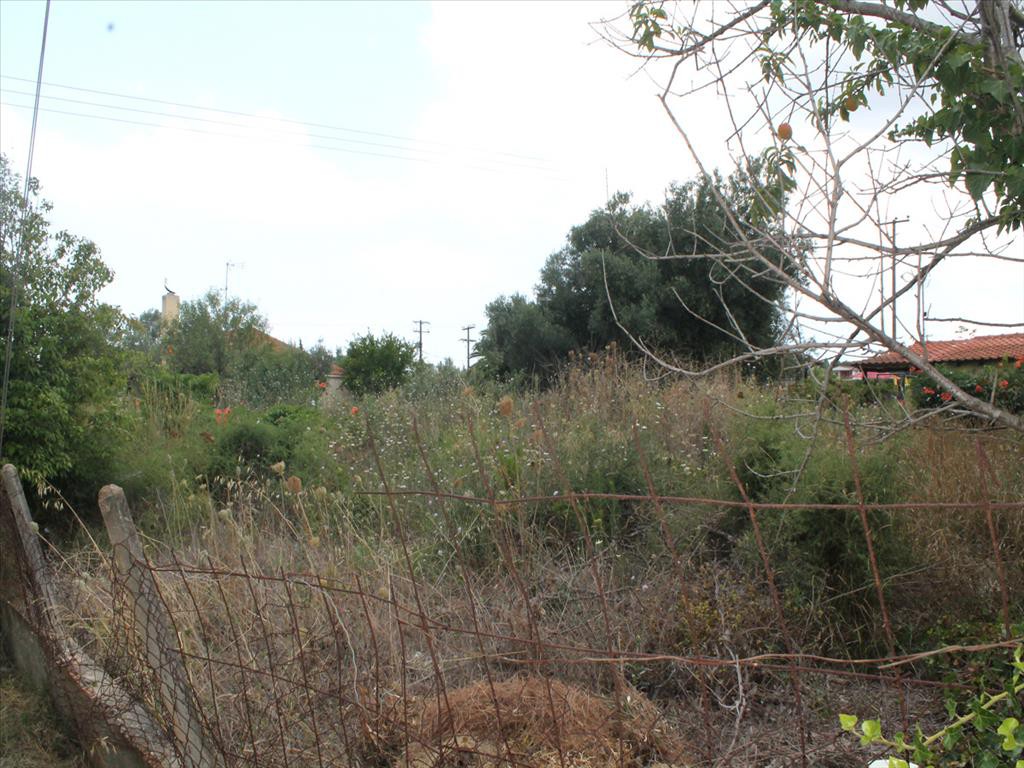 Οικόπεδο 600 τ.μ. προς πώληση, Νέα Ποτίδαια