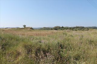 Οικόπεδο 30.000 τ.μ. για πώληση