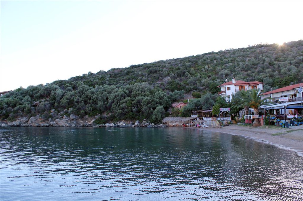 Οικόπεδο 10.300 τ.μ. προς πώληση, Άσσα