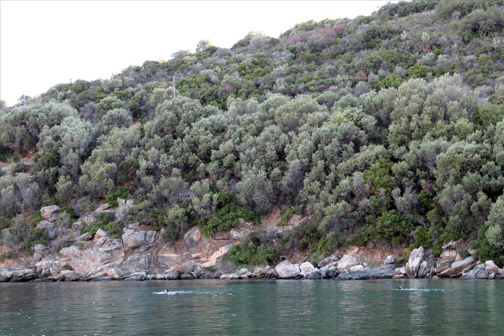 Οικόπεδο 10.300 τ.μ. προς πώληση, Άσσα