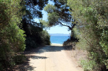 Οικόπεδο 9.000τ.μ. για πώληση-Σιθωνία » Αγία κυριακή
