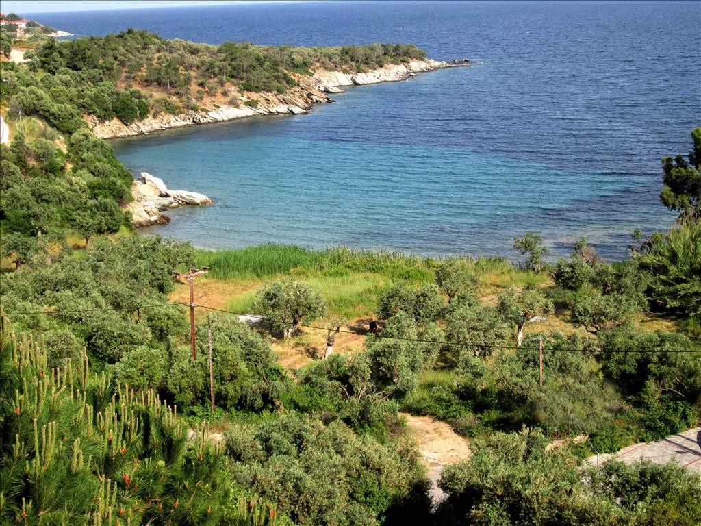 Οικόπεδο 2.850 τ.μ. προς πώληση, Άσσα