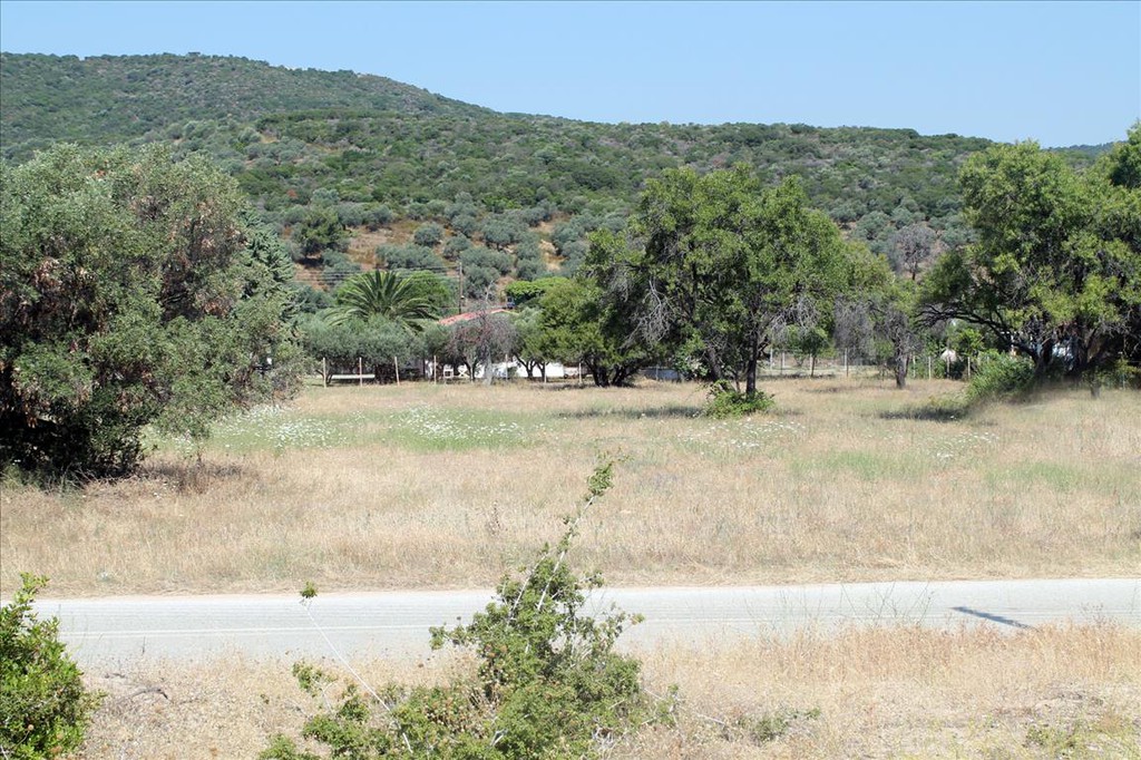 Οικόπεδο 2.700 τ.μ. προς πώληση, Άσσα