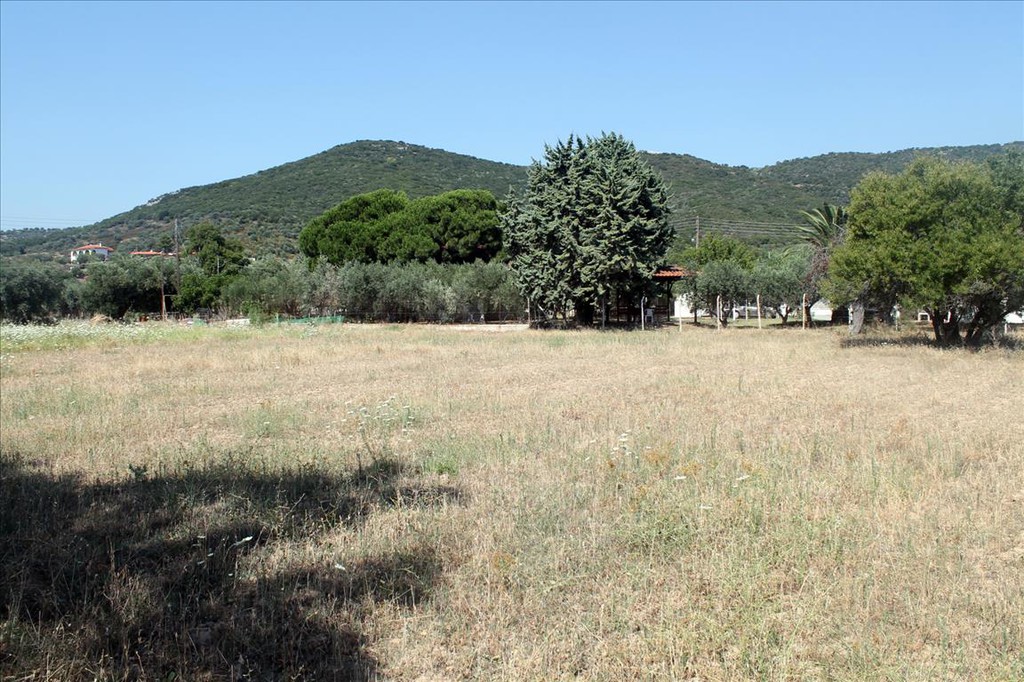 Οικόπεδο 2.700 τ.μ. προς πώληση, Άσσα
