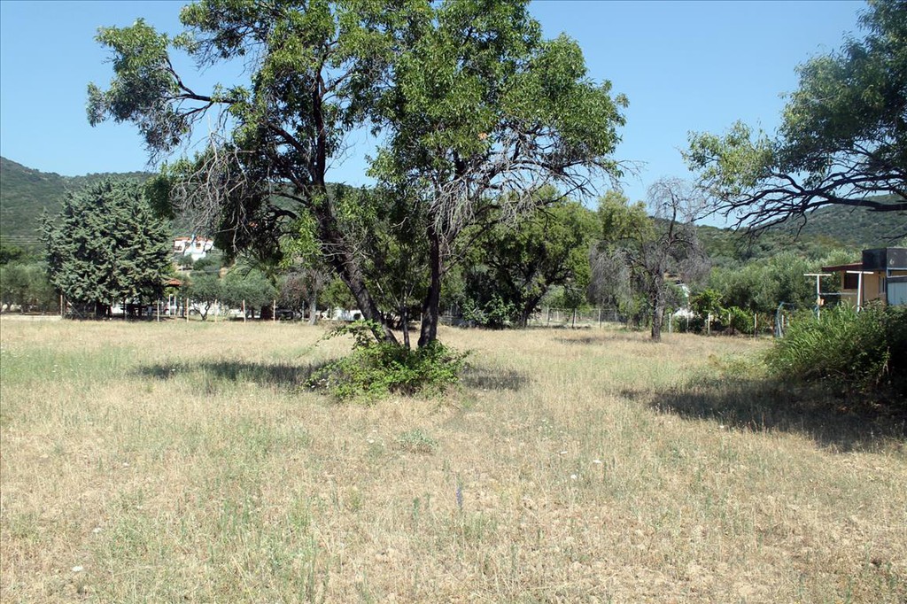 Οικόπεδο 2.700 τ.μ. προς πώληση, Άσσα