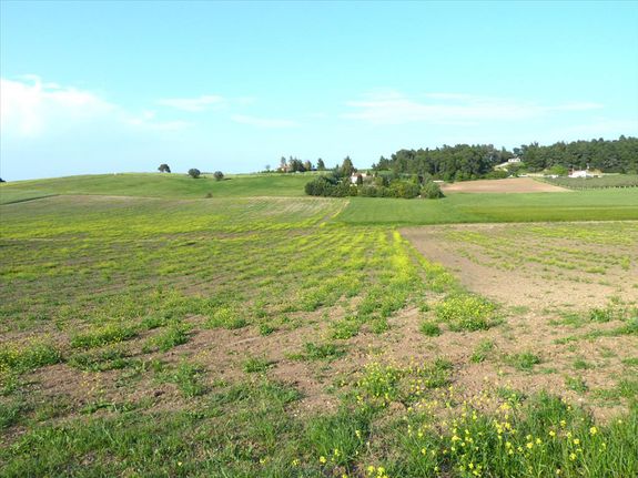 Land plot 4.700 sqm for sale, Chalkidiki, Kassandra