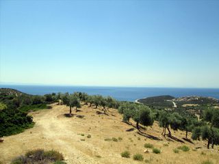 Οικόπεδο 12.000 τ.μ. για πώληση