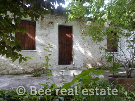 Μονοκατοικία 70τ.μ. για πώληση-Μούρεσι » Ξορύχτι