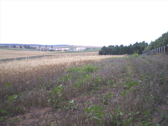 Land plot 4.370 sqm for sale, Chalkidiki, Kassandra