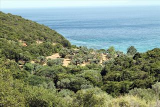 Οικόπεδο 8.620 τ.μ. για πώληση, Χαλκιδική, Παναγιά-thumb-1