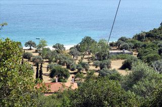 Οικόπεδο 8.620 τ.μ. για πώληση, Χαλκιδική, Παναγιά-thumb-2