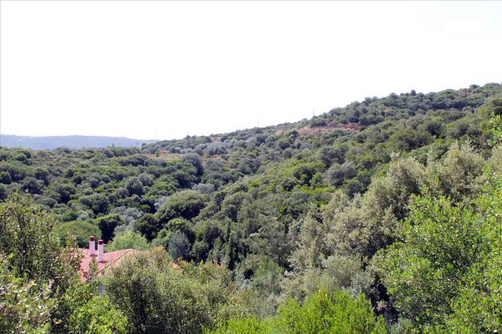 Οικόπεδο 8.620 τ.μ. προς πώληση, Γομάτι