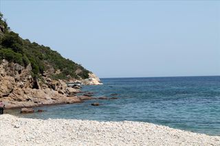 Οικόπεδο 8.620 τ.μ. για πώληση, Χαλκιδική, Παναγιά-thumb-5