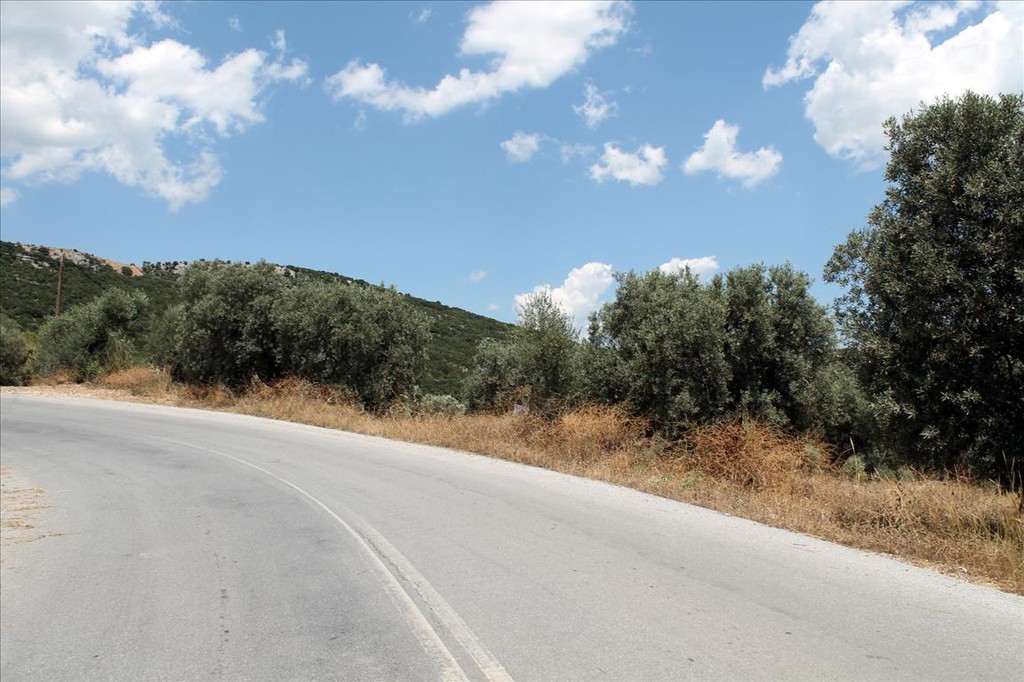 Οικόπεδο 5.568 τ.μ. προς πώληση, Άσσα