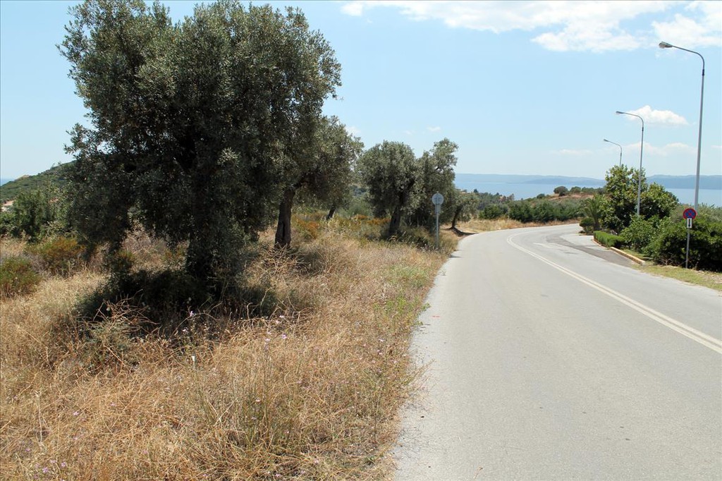 Οικόπεδο 5.568 τ.μ. προς πώληση, Άσσα
