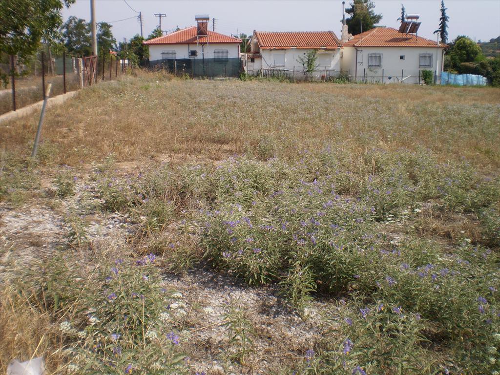 Οικόπεδο 1.691 τ.μ. προς πώληση, Ροδόκηπος