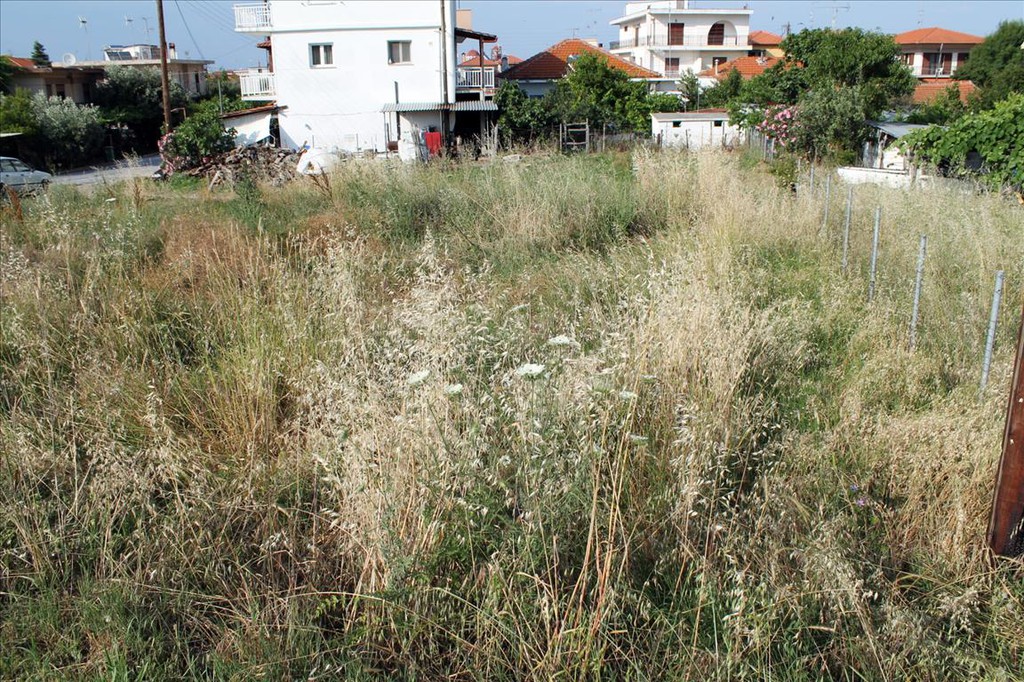 Οικόπεδο 700 τ.μ. προς πώληση, Ιερισσός