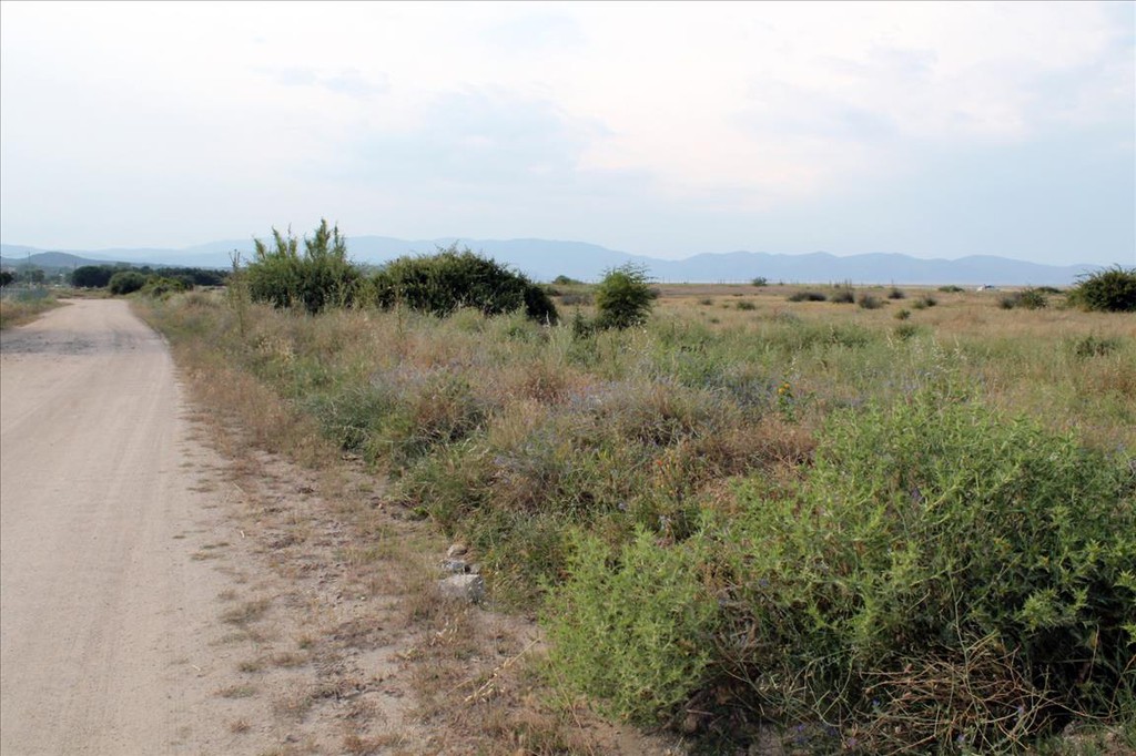 Οικόπεδο 10.550 τ.μ. προς πώληση, Ιερισσός