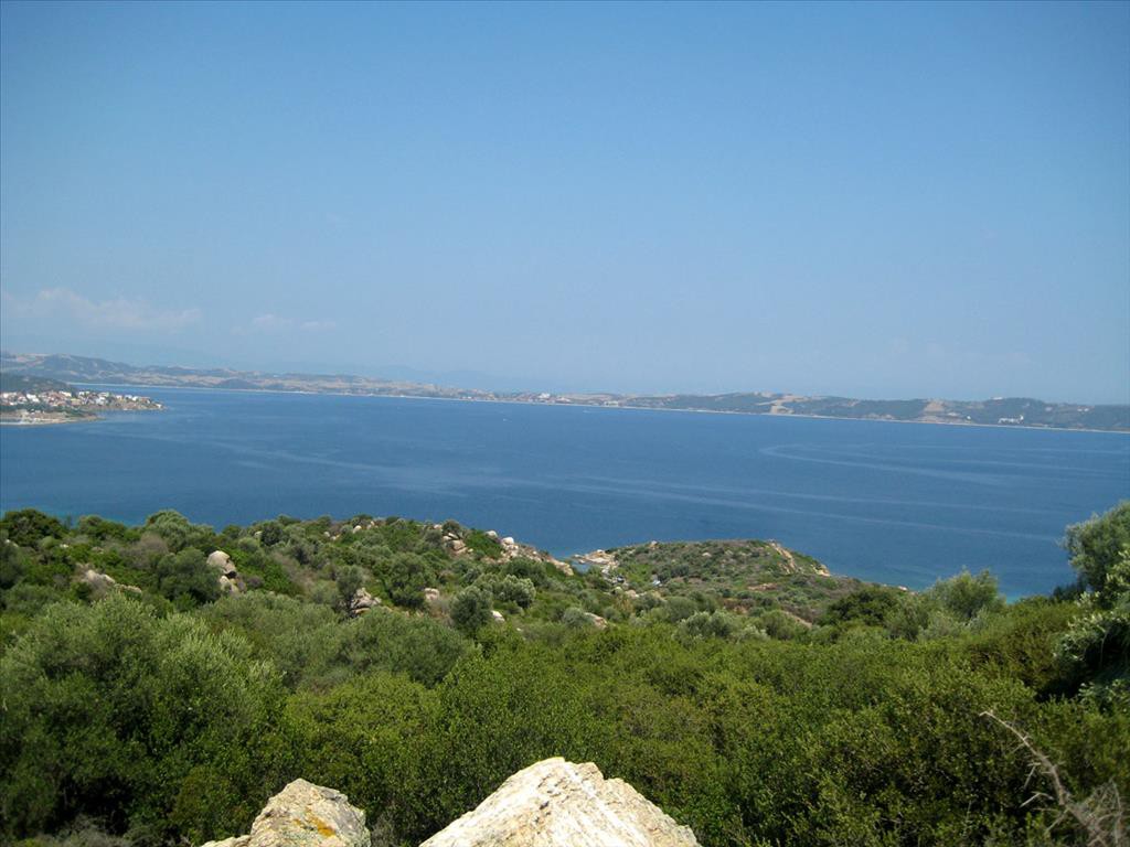 Οικόπεδο 7.000 τ.μ. προς πώληση, Αμμουλιανή
