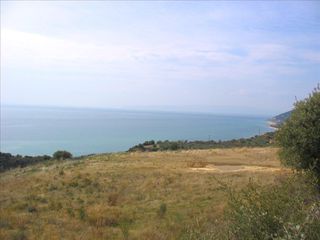 Οικόπεδο 5.650 τ.μ. για πώληση, Ν. Καβάλας, Ελευθερές-thumb-2
