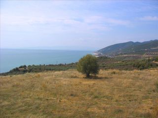 Οικόπεδο 5.650 τ.μ. για πώληση, Ν. Καβάλας, Ελευθερές-thumb-3