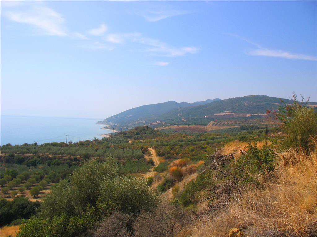 Οικόπεδο 5.650 τ.μ. για πώληση, Ν. Καβάλας, Ελευθερές