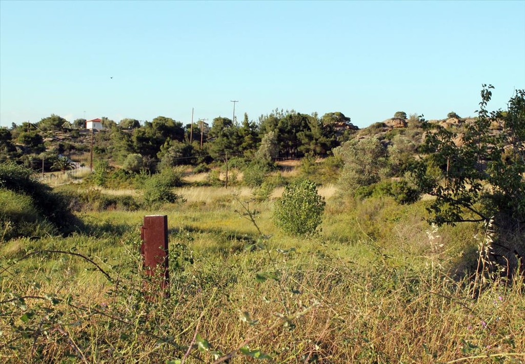 Οικόπεδο 3.391 τ.μ. προς πώληση, Όρμος Παναγίας