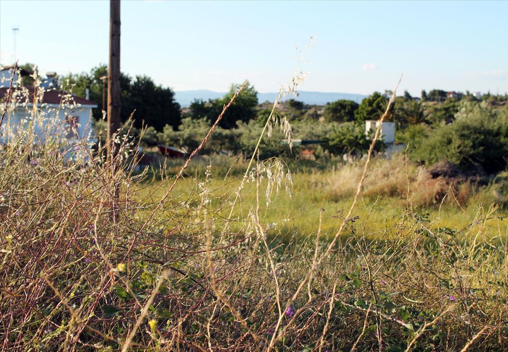 Οικόπεδο 3.391 τ.μ. προς πώληση, Όρμος Παναγίας