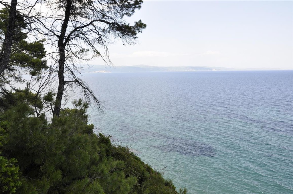 Οικόπεδο 12.150 τ.μ. προς πώληση, Άγιος Νικόλαος Σιθωνίας