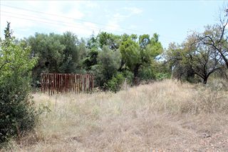 Οικόπεδο 12.081 τ.μ. προς πώληση