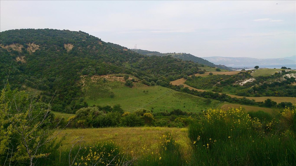 Οικόπεδο 11.300 τ.μ. προς πώληση, Ιερισσός