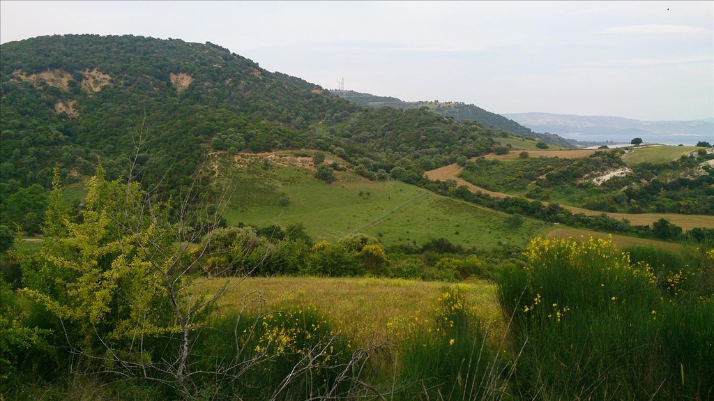 Οικόπεδο 11.300 τ.μ. προς πώληση, Ιερισσός