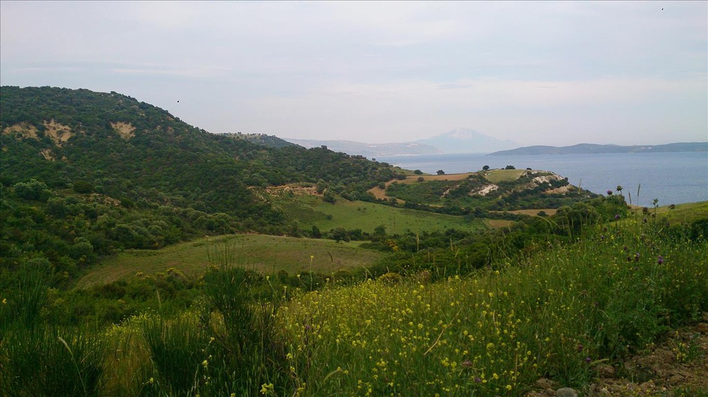 Οικόπεδο 11.300 τ.μ. προς πώληση, Ιερισσός