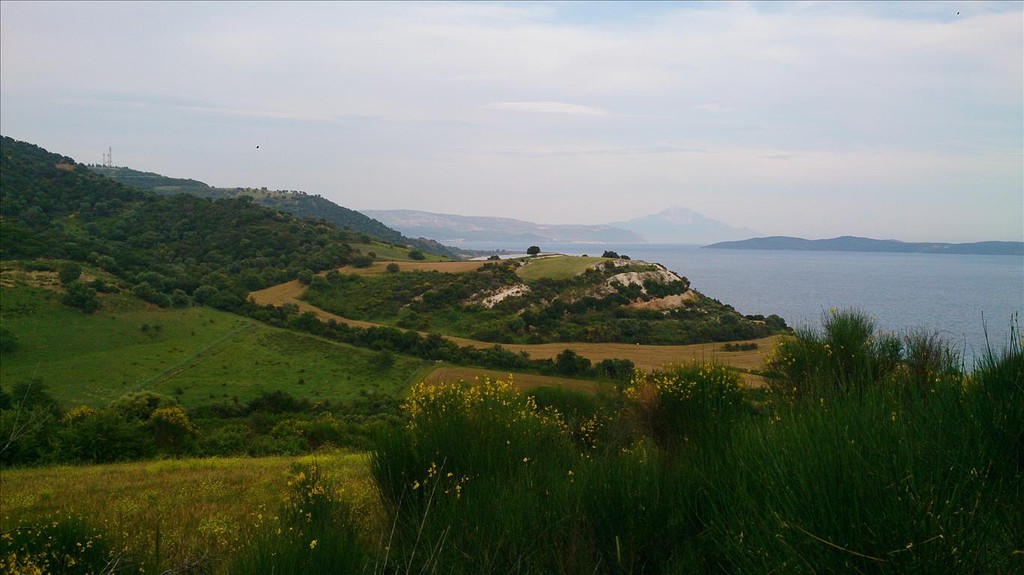 Οικόπεδο 11.300 τ.μ. προς πώληση, Ιερισσός