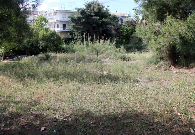 Land plot 1.400 sqm for sale, Chalkidiki, Kassandra