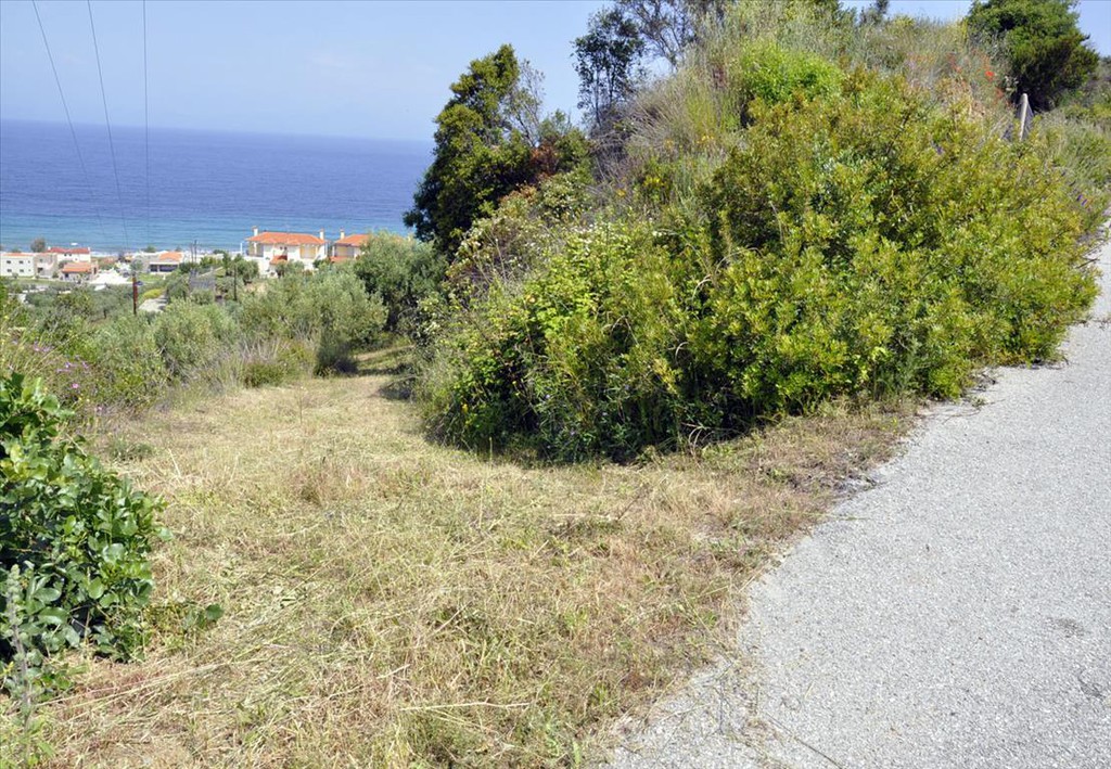 Οικόπεδο 3.750 τ.μ. προς πώληση, Σαλονικιού